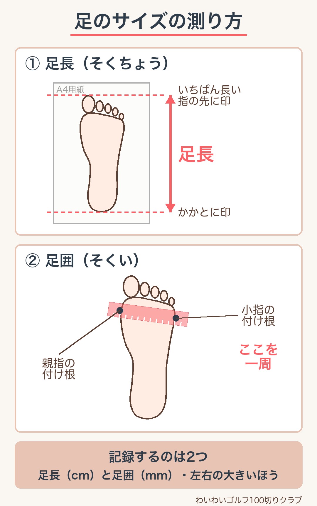 足長はかかとからいちばん長い指の先まで、足囲は親指と小指の付け根を通って一周